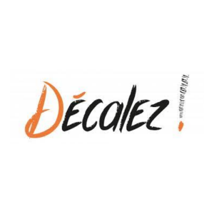 logo decalez